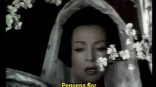 Pequeña Flor - Sara Montiel