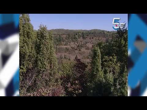 Godinama ljudska noga ne kroči tamo - crvene boje u pustoši banatskoj