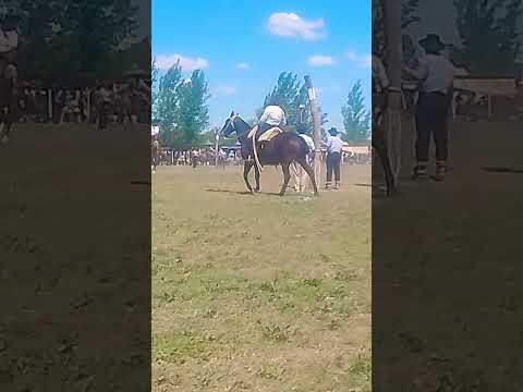 47° fiesta de la tradición buena esperanza San Luis