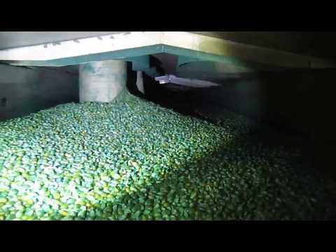 Slipstick Industrial Conveyor for Fertilizers | Triple/S