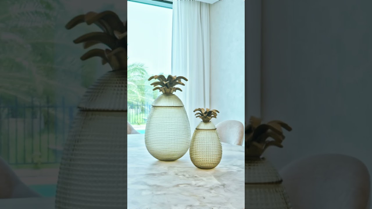 Real Estate Property Videos - 5