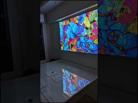 理工学科 岩石は芸術だった #理工学部 #国士舘大学