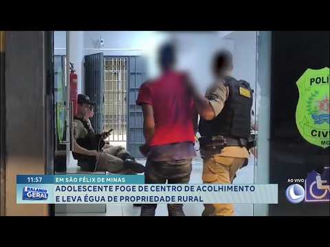 Em São Félix de Minas: Adolescente foge de acolhimento e leva égua.