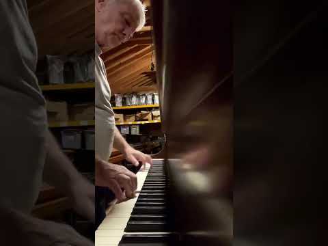 Steinway & Sons Model M Grand Piano – 5’7” Mahogany image 5