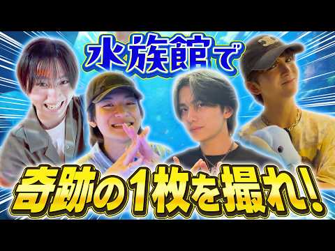 【一写入魂】水族館で奇跡の一枚を撮れ！
