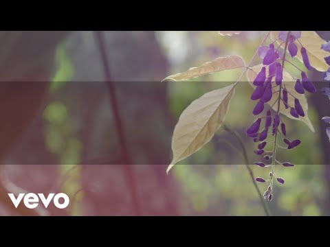 La Arrolladora Banda El Limón De René Camacho - Eres Una Diosa (Lyric Video)