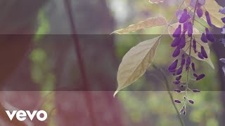 La Arrolladora Banda El Limón De René Camacho - Eres Una Diosa (Lyric Video)