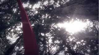 AUTHORS - White Flags