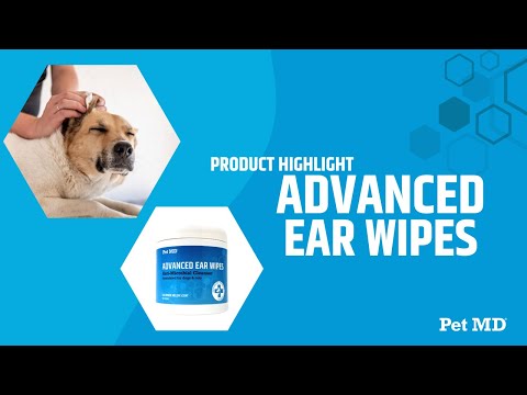 Why Your Pet Needs Pet MD Advanced Ear Wipes