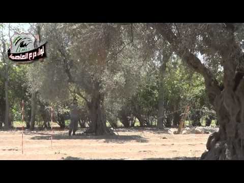 استهداف  قوات النظام بقذائف الهاون من قبل لواء درع العاصمة في ريف دمشق