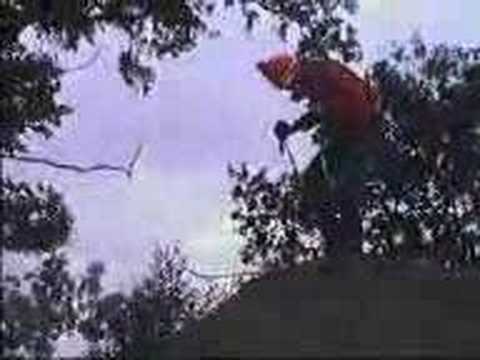 Drunk guy tries skying in the summer