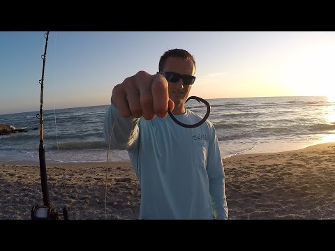 Bull Shark on Spinning Tackle from the Beach