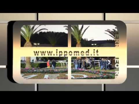 Trotto corse del 25 Giugno 2018