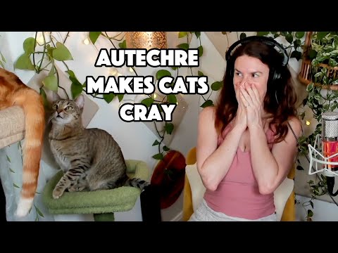 Listening to Autechre for the first time