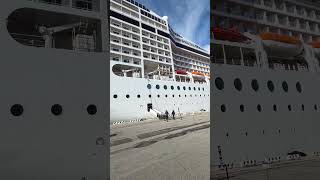 Msc Orchestra 💙 📍 Livorno, Italy#mscorchestra