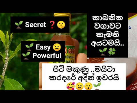   ඕනම වගාවට හරියන.....පළවෙනි යෙදුමෙන් ම..,, අඩුම වියදමින් ප්‍රශ්නෙ ඉවරයි...😯🌱 