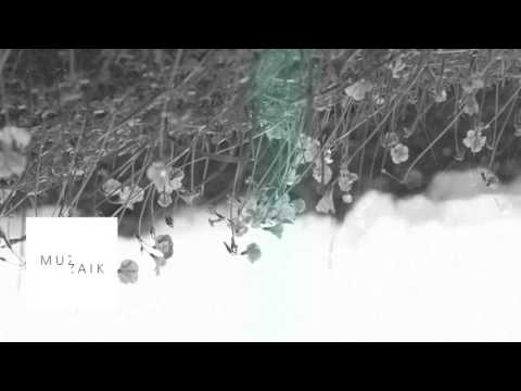 Muzaikfm 011 - radio live set I FAIDEL