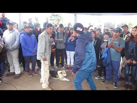 KOREP VS PANSHOT - OCTAVOS Fecha 4 - La Liga