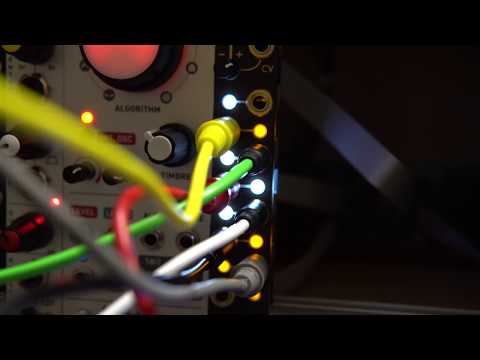 Divkid  ØCHD modulating a 2hp Vowel through a Moog DFAM