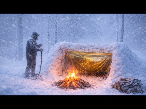 Surviving a CRAZY Blizzard in a Survival Shelter | Extreme Winter Camping & Steak Over Campfire!