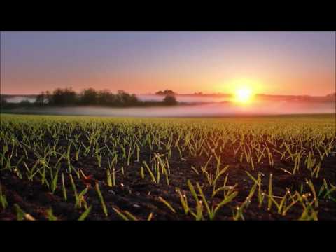 Almadrava-- Twilight