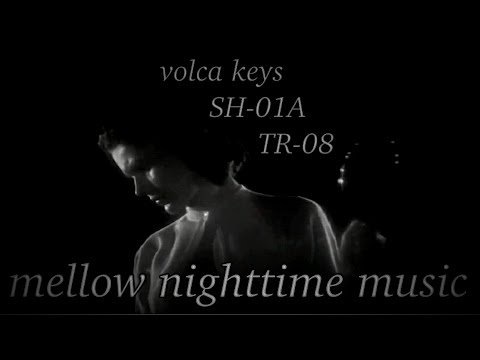 22. Roland SH-01A TR-08 & Korg volca keys - recorded 7/21/2020