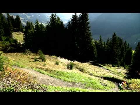 Canyon Torque EX Vertride, Trailflow, Gapstar - Features and Facts - Deutsch