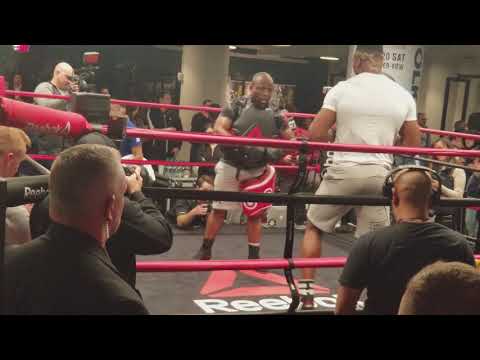 UFC 220 Francis Ngannou Open Workouts