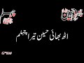 20 Safar Noha WhatsApp Status Uth Bhai Hussain Tera Chehlum