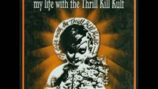 my life with the Thrill Kill Kult - Shock Point of 6