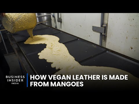 How Vegan Leather Is Made From Mangoes | World Wide Waste