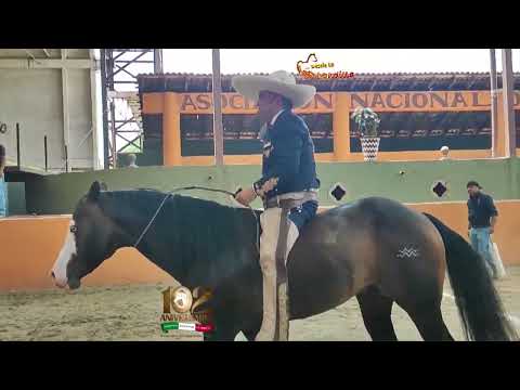 Cala sin freno ni montura de Alejandro Goñi con RG2 Navarro