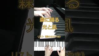 Download lagu 森に踊る光と風|リスト《森のささやき》【美しすぎるピアノ名曲3選】#Shorts mp3 Download lagu 森に踊る光と風|リスト《森のささやき》【美しすぎるピアノ名曲3選】#Shorts mp3