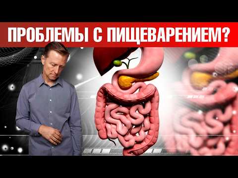 Все проблемы с пищеварением ИЗ-ЗА ЭТОГО🙌 Все проблемы с пищеварением ИЗ-ЗА ЭТОГО🙌