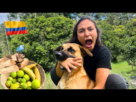 Así es UN DÍA en el CAMPO COLOMBIANO 🇨🇴