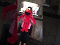 4 10 17 Elmo Hugs