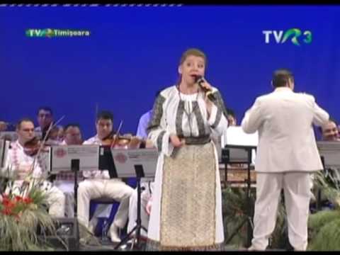 Felicia Stoian - Azi vreau să uit grijili