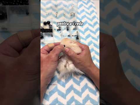 Hamsterul care va trăi pentru totdeauna 🐹