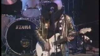 Stevie Ray Vaughan Life Without You