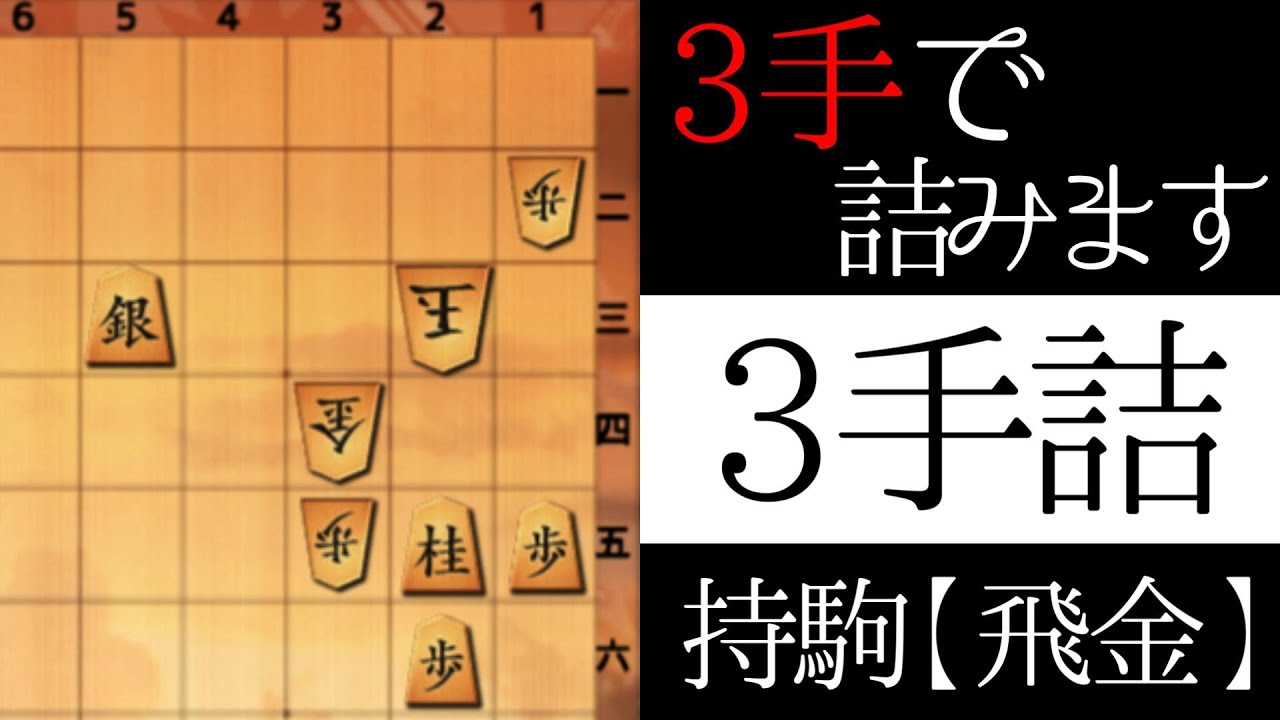 どこに飛車を打ちますか？【３手詰】