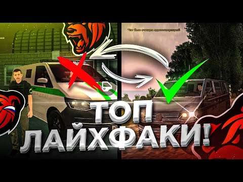 🤑КАК БЫСТРО РАЗВИТЬСЯ НОВИЧКУ И СТАТЬ БОГАТЫМ НА БЛЕК РАША! 🤩ЛУЧШИЕ ЛАЙФХАКИ НА BLACK RUSSIA