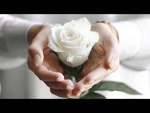 Dodatak za dva spomenuta hadisa ❤️