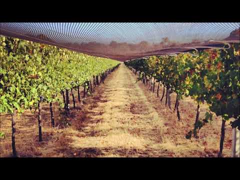 xfruge x pink hoodie - broken