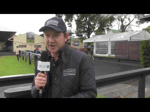 Widden Stud & Stallion Parade at the 2016 Classic Sale