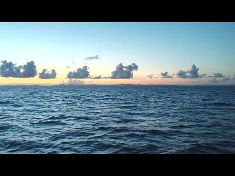 LG V60 DS 4K video test