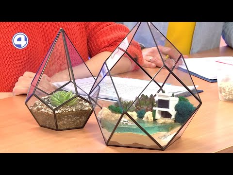 Чем флорариумы отличаются от цветов в горшках
