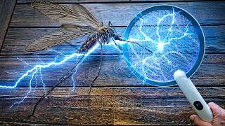 This 2-in-1 Zapper Changed My Yard Forever! ⚡️ (Electric Fly