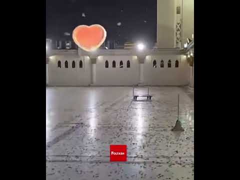 Live nga xhamia e Profetit a.s në Medine, mbushet me disa insekte interesante🥰