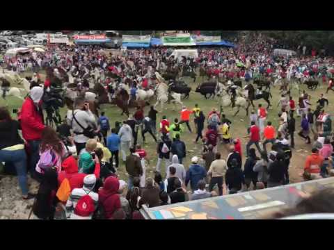 Vídeo de la salida de los toros de los corrales de Valonsadero (Mariló Val)