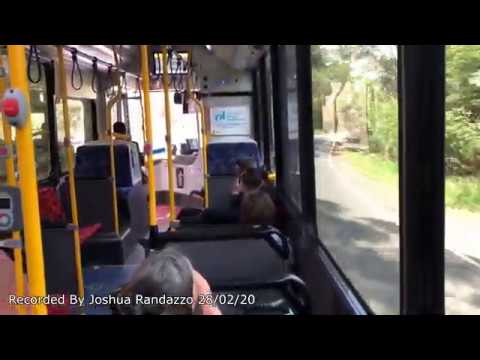 Sydney Buses 3059 ST (Volvo B8RLE/Custom Coaches CB80 Series II)